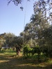 SW8YA Image